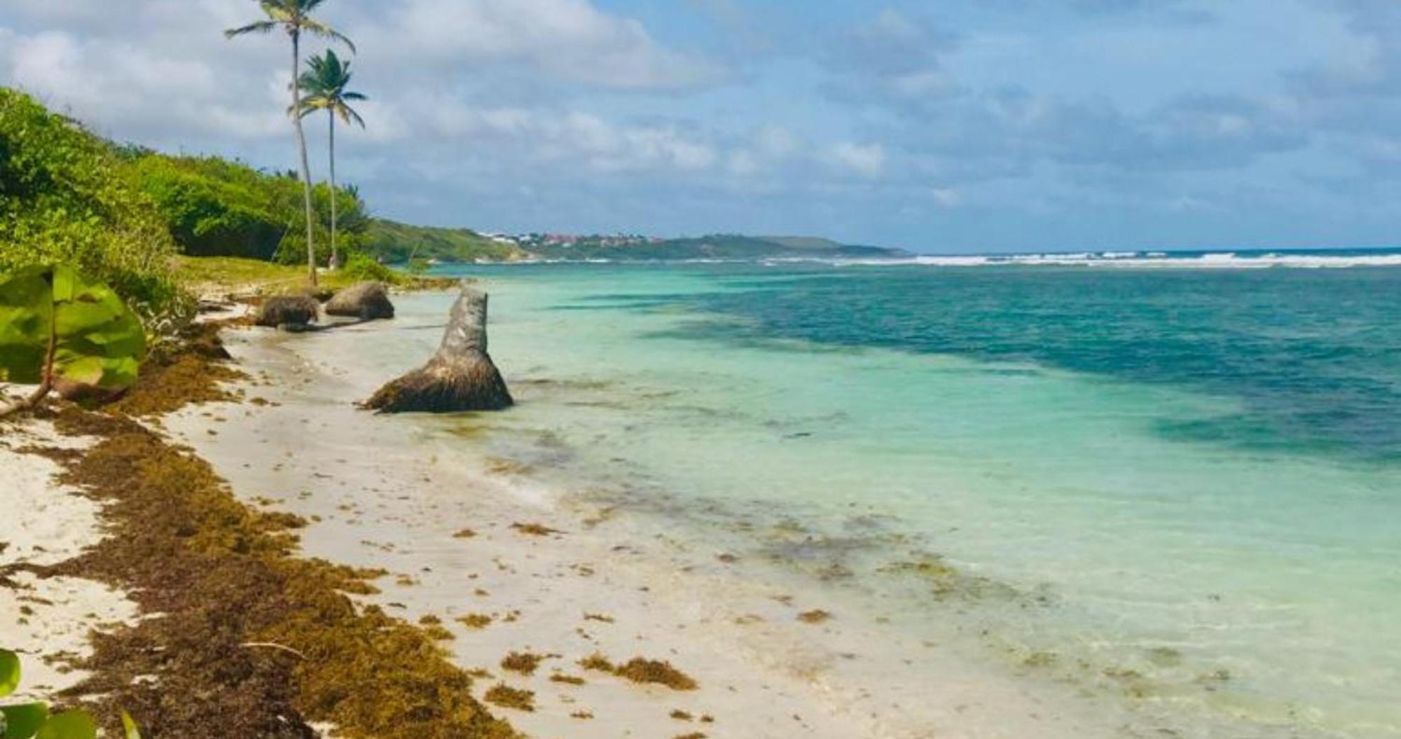 Magnifique Appartement Fleurs Caraibes - 6 Personnes En Residence Avec Piscine Privee - Sainte Anne Luaran gambar