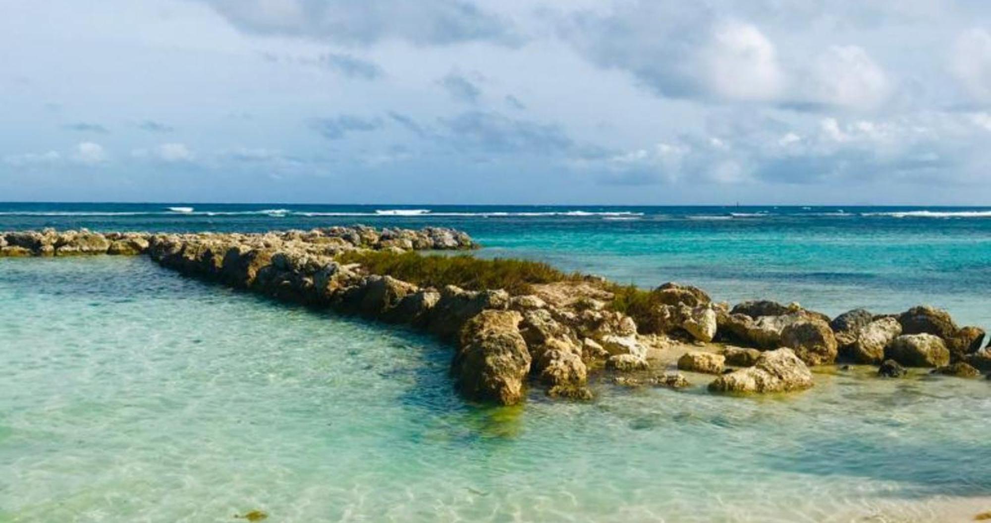 Magnifique Appartement Fleurs Caraibes - 6 Personnes En Residence Avec Piscine Privee - Sainte Anne Luaran gambar